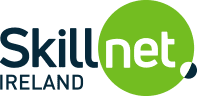 Skillnet ireland 1 New Era Digital