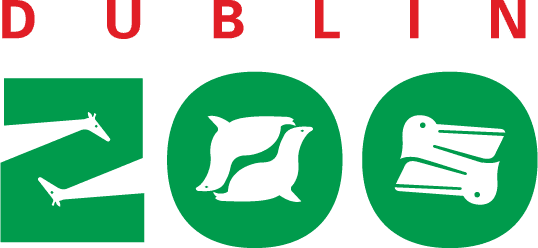 image New Era Digital