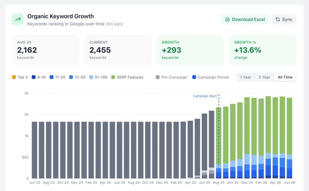 How New Era Digital Helped Timmy's Pet Shop Become One of Ireland's Fastest Growing Online Pet Stores 3 image 2 New Era Digital