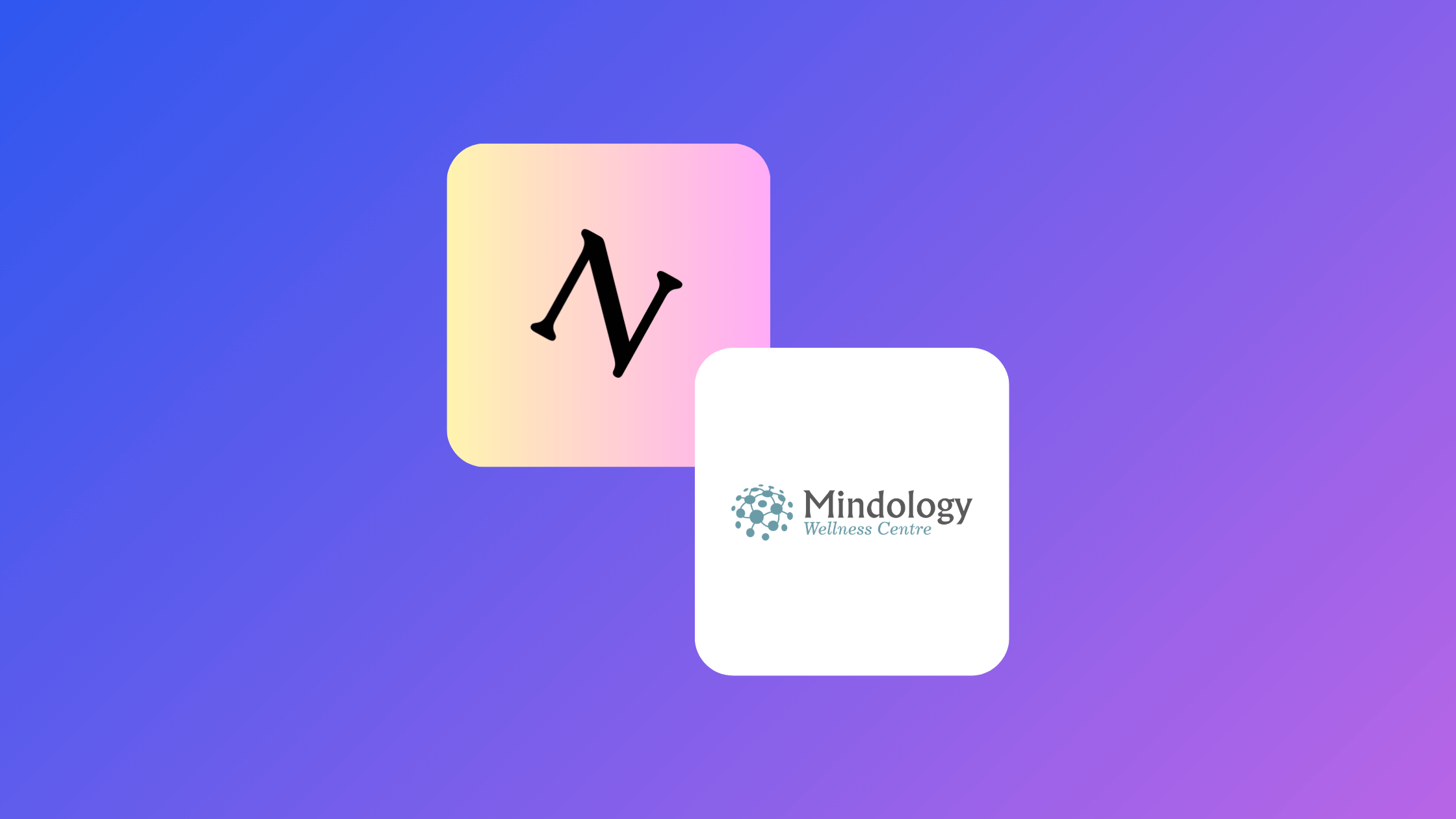 Mindology Wellness Centre case study showcasing website design, SEO and Google Ads success